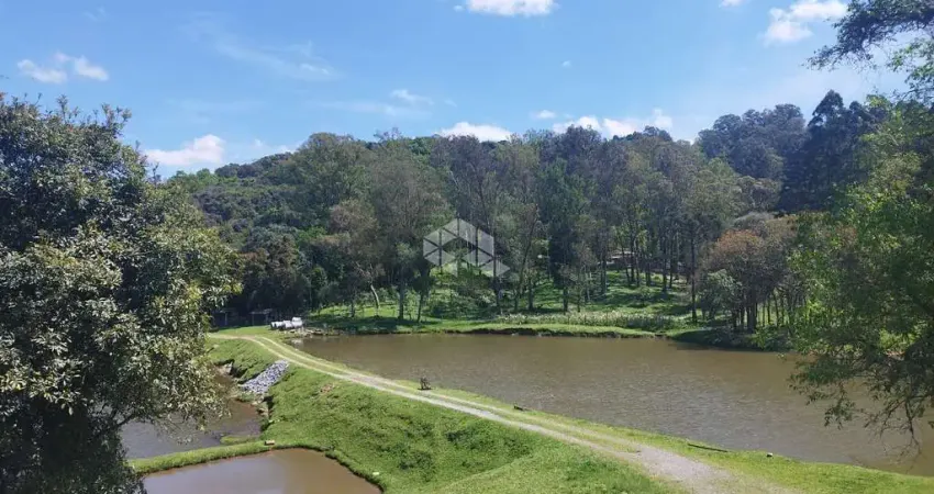 Chácara / sítio com 3 quartos à venda na Antônio Pertile, 905, Tamandaré, Garibaldi