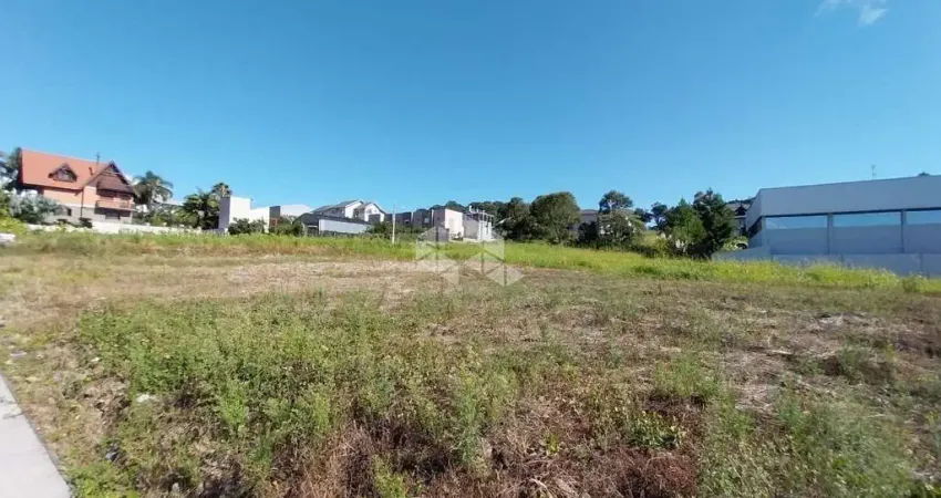 Terreno à venda na Rua Buarque De Macedo, 5050, Santa Terezinha, Garibaldi