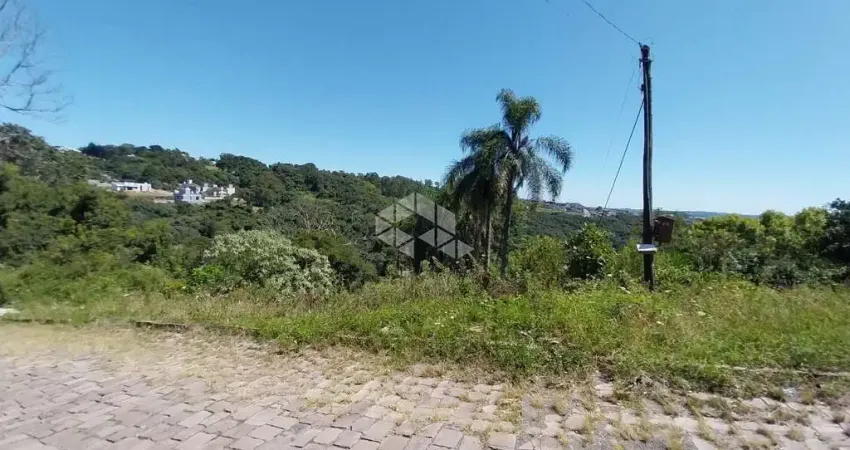 Terreno à venda na Rua Plauto de Abreu, 2, Santo Antão, Bento Gonçalves