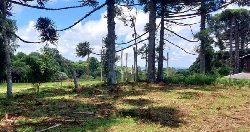 Terreno à venda na Antonio Dal Piva, 58, Tuiuty (Distrito), Bento Gonçalves