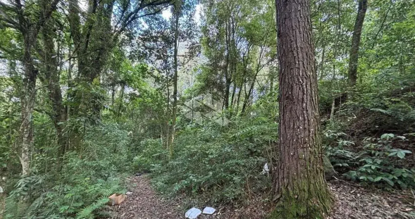 Terreno à venda na Rua São Paulo, 729, Borgo, Bento Gonçalves