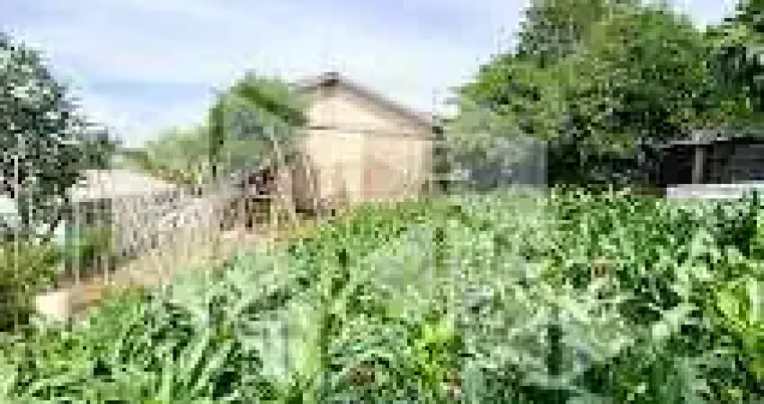 Terreno à venda na Thereza de Bacco Signor, 98, Santa Helena, Bento Gonçalves