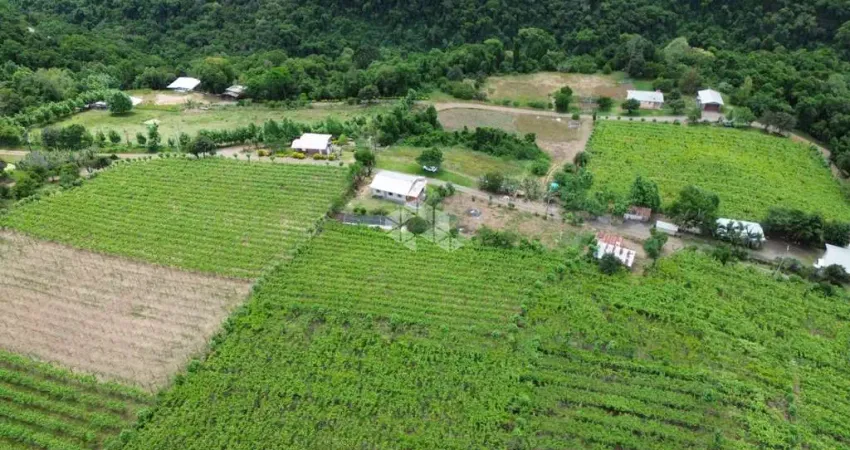 Área de terras com 9 hectares no 100 da leopoldina. monte belo do sul