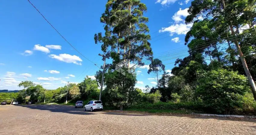 Terreno à venda na Euclídes Massolini, 10, Tamandaré, Garibaldi