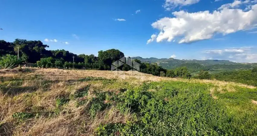 Chácara / sítio à venda na Linha Santa Lúcia, 60, Vale dos Vinhedos (Distrito), Bento Gonçalves
