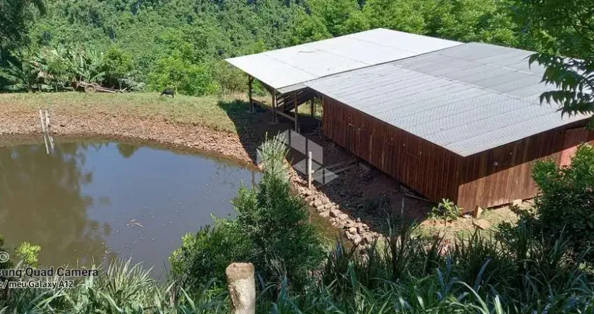 Chácara / sítio à venda na Campinho, 10, Zona Rural, Roca Sales
