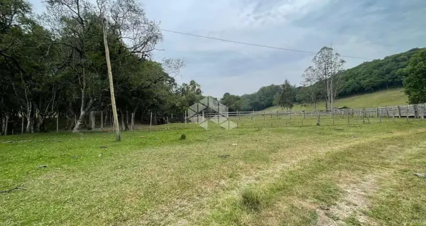 Chácara / sítio com 3 quartos à venda na Rs-453, Km 18 - Linha Rio Burati, 10, Nova Sardenha (Distrito), Farroupilha