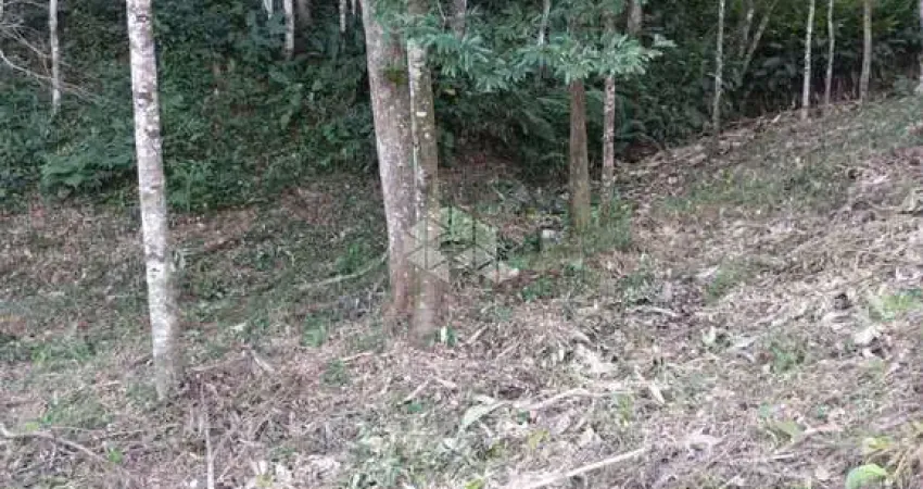 Terreno à venda na Rua Antônio Jovita Duarte, 1749, Forquilhas, São José