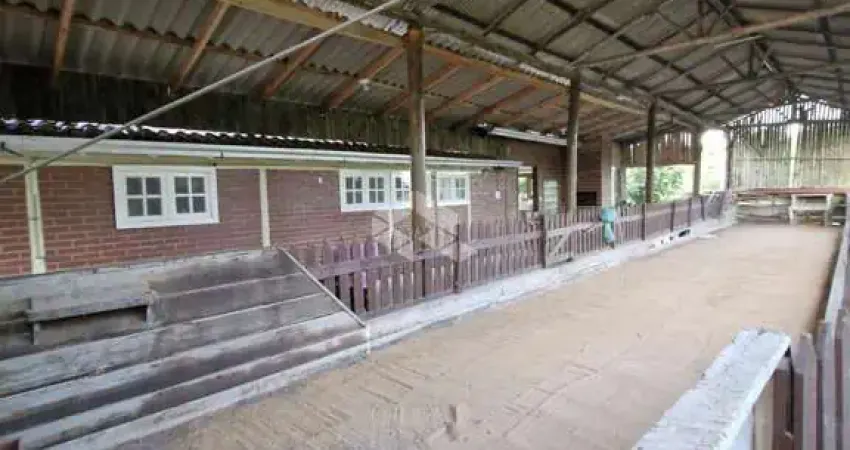 Chácara / sítio com 3 quartos à venda na Estrada São Caetano, 6700, Lami, Porto Alegre
