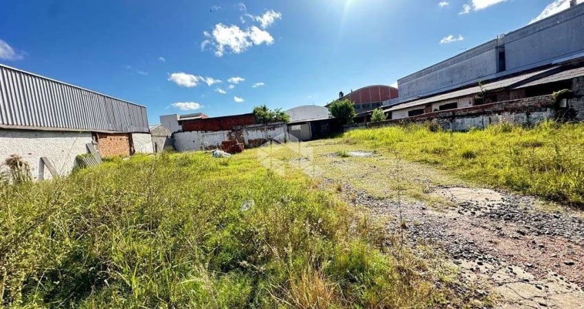 Terreno de 217,50 m2, bairro Santa Maria Goretti, Porto Alegre- RS