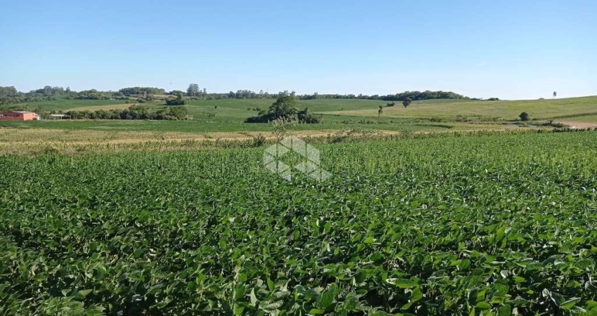Chácara/Sítio/ àrea de terras  à  venda em Itaara.