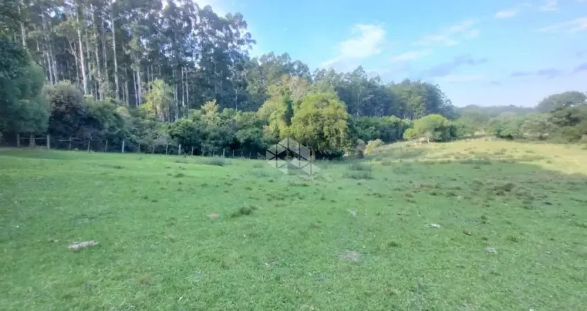Propriedade Rural à Venda - 46 Hectares | Santa Maria/RS