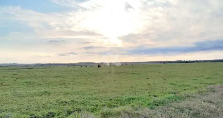 Área Rural à venda com 143 hectares no Arenal em Santa Maria RS