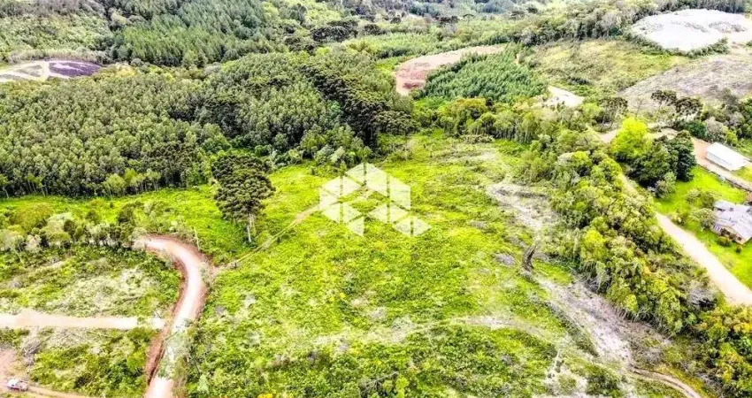 Terreno de 32.142,60m², localizado na linha Tapera em Gramado.