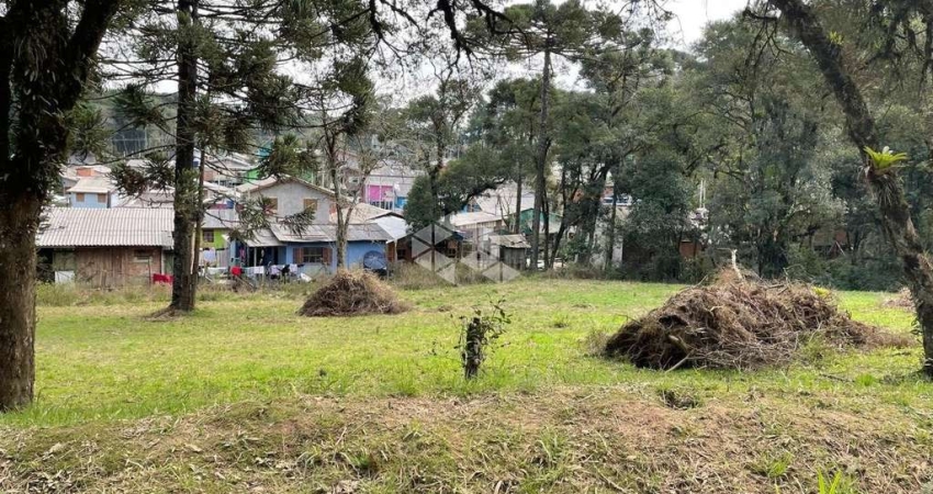 Terreno 496,49m²,  localizado no bairro são luis , canela