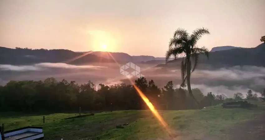 Sitio  32 hectares , localizado na Estrada LInha São João amoreiras