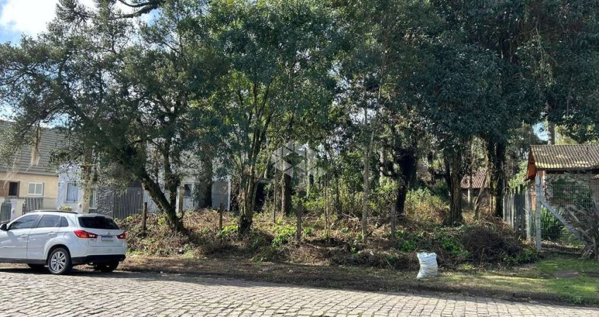 Terreno à venda na Paul Harrys, 1015, Centro, Canela