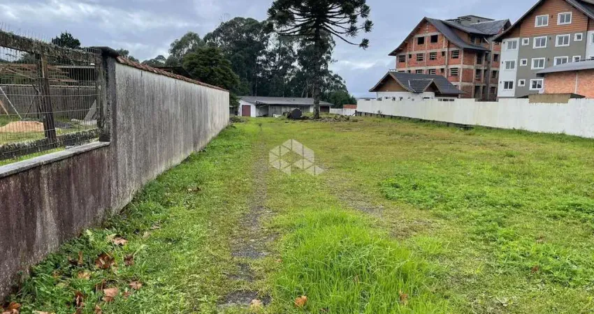 Barracão / Galpão / Depósito à venda na Avenida Cônego João Marchesi, 478, Canelinha, Canela