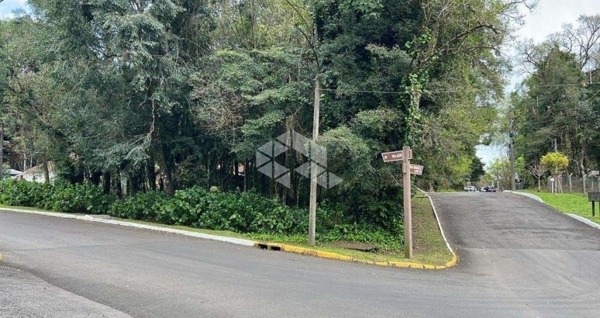 Terreno plano para investimento