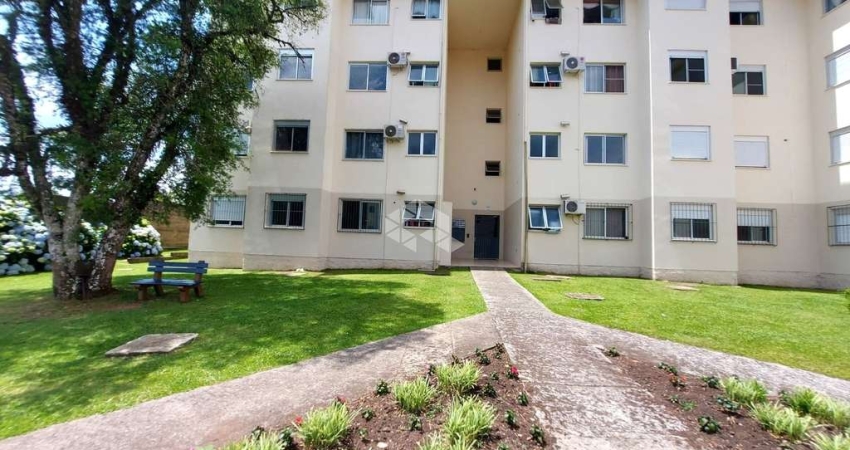 Apartamento com 3 quartos à venda na Homero Pacheco, 0909, Ulisses de Abreu, Canela