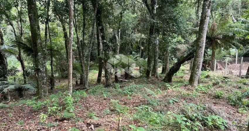 Terreno a venda em Gramado