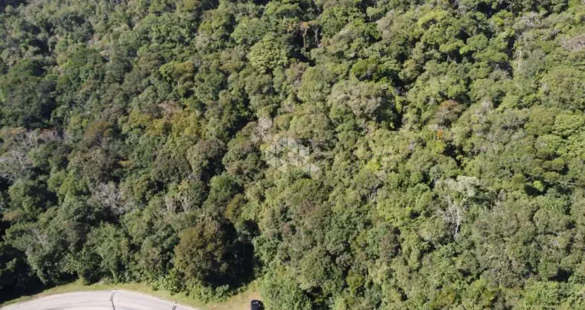 Terreno à venda na Rua Cezare Vaccari, 626, Alpes Verdes, Canela