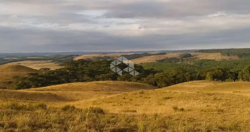 Fazenda à venda na Ximango, 1, Loteamento Colinas de são Francisco, São Francisco de Paula