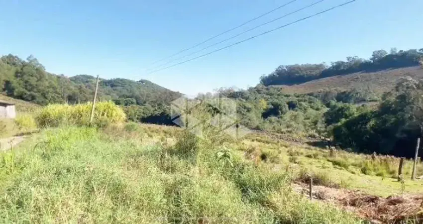 Terreno à venda na Avenida Rio Branco, 4000, São Pelegrino, Caxias do Sul
