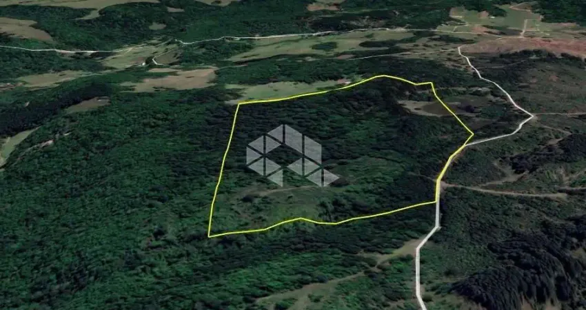 Chácara / sítio com 1 quarto à venda na Da Carapina, 1253, Zona Rural, São Francisco de Paula