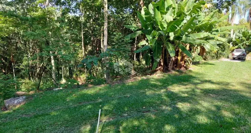 Chácara de 2,4 ha na linha feijo / colônia sertolina, caxias do sul