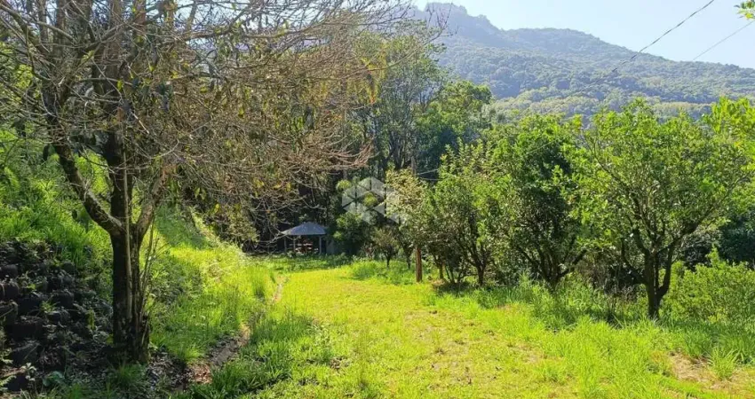 Chácara / sítio com 2 quartos à venda na Rodovia BR-116, 3074, Vila Cristina, Caxias do Sul