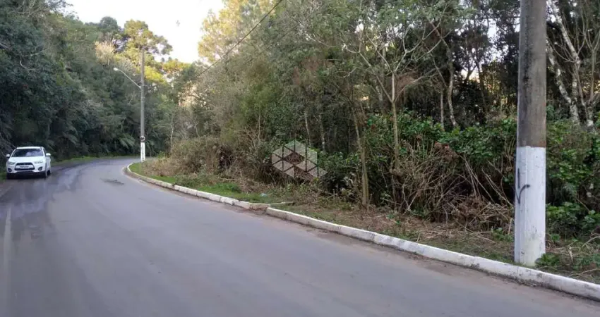 Terreno com 2.440 m2 no parque suíço em são francisco de paula