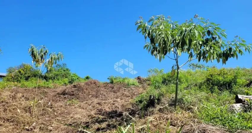 Ótimo terreno de 903,60m2 no Bairro São Luiz em Caxias Do Sul