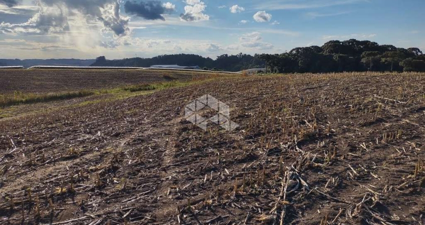 Lote de terras 15,18 Ha na Forqueta em Farroupilha