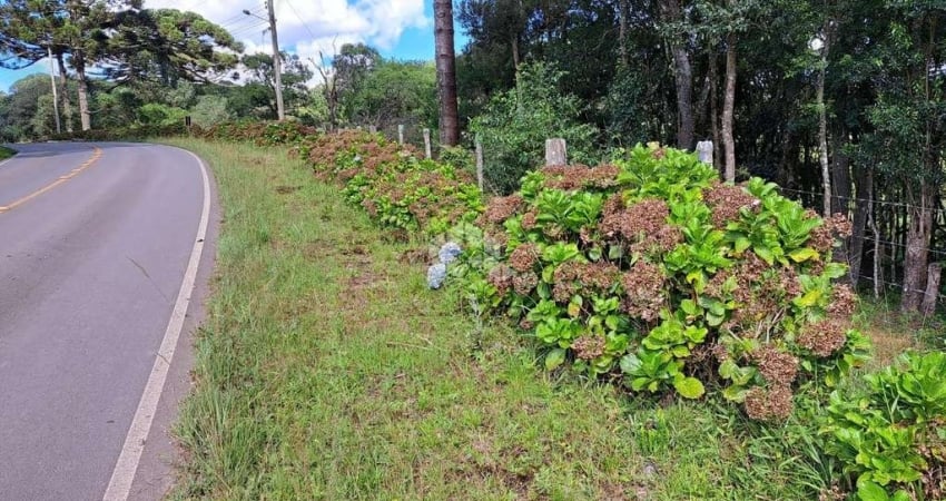 Chácara / sítio à venda na Área Rural, 0001, Zona Rural, Farroupilha