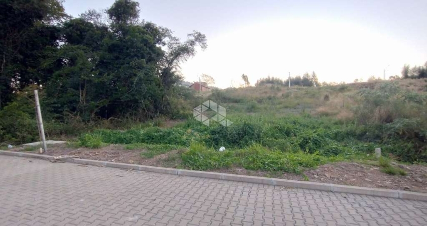 Terreno à venda na Marilice Pessin Haubert, 14, Monte Verde, Farroupilha