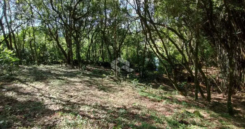 Terreno à venda na Área Rural, 37, Zona Rural, Farroupilha