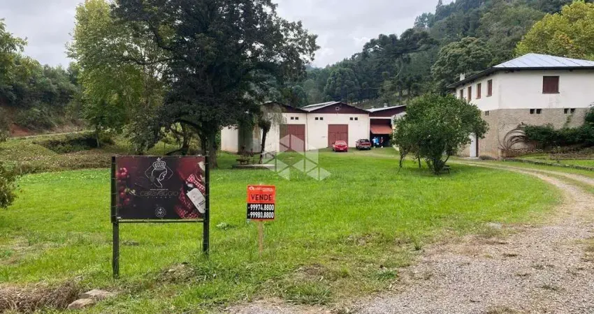 Chácara / sítio à venda na Área Rural, 16, Zona Rural, Farroupilha