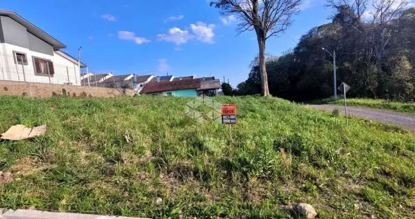 Terreno à venda na Rodolpho Abraham Felicetti, 1, Monte Verde, Farroupilha