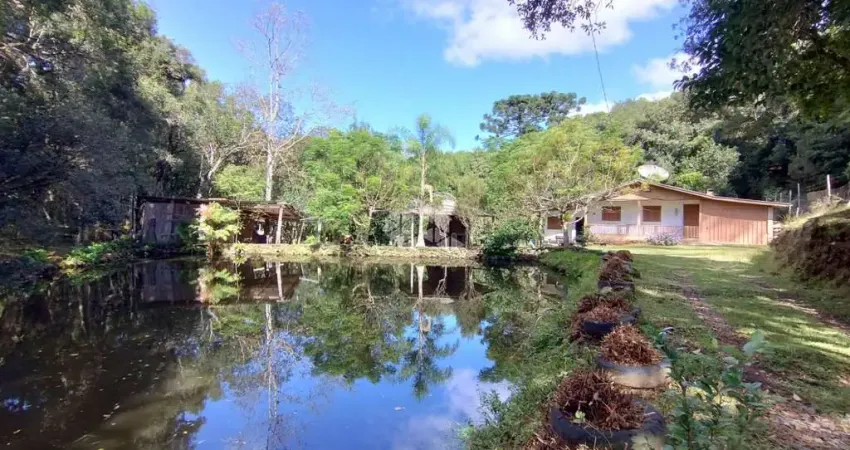 Chácara / sítio à venda na Área Rural, 129, Zona Rural, Farroupilha