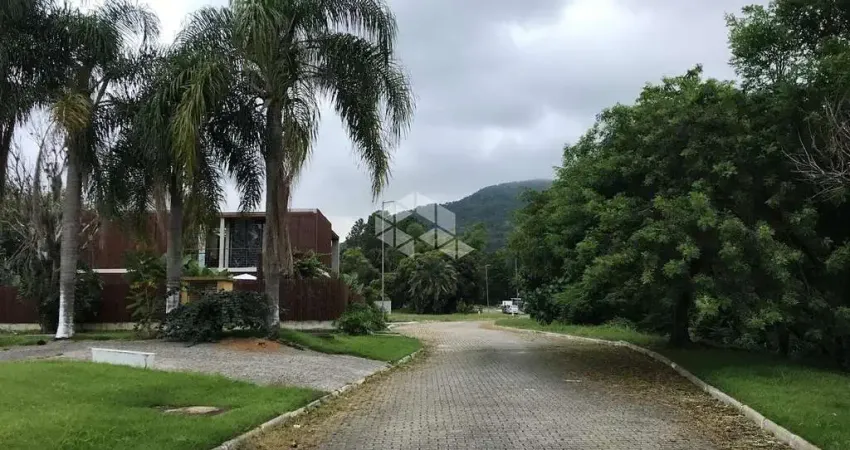 Terreno em condomínio fechado com 482m² a venda - ratones, florianópolis sc.