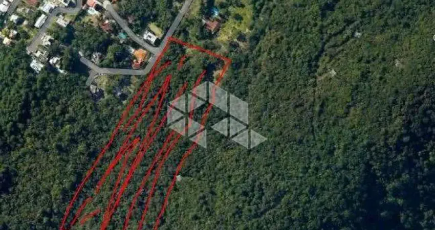 TERRENO COM 49.845,61m² NO BAIRRO ITACORUBI EM FLORIANÓPOLIS/SC.