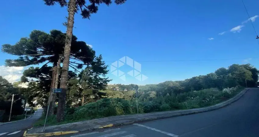 Terreno à venda na 15 de Novembro, 4, Chácaras, Garibaldi