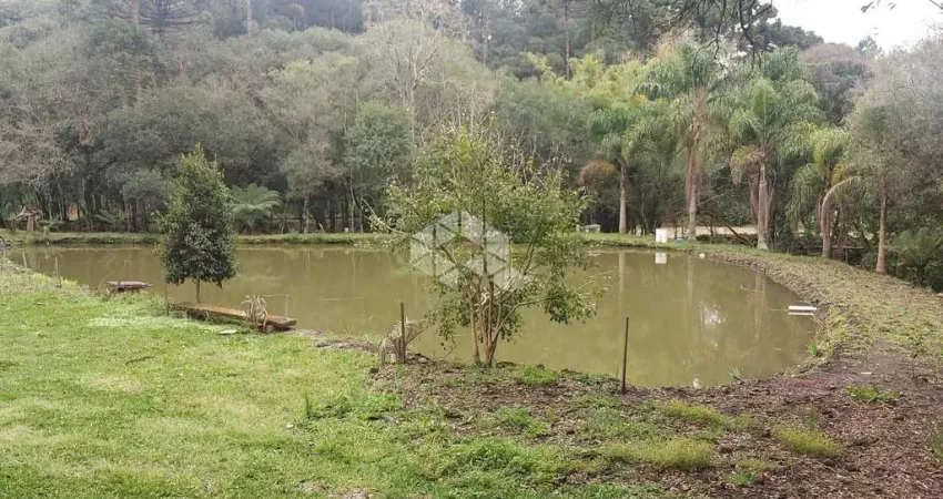Lindo sítio!