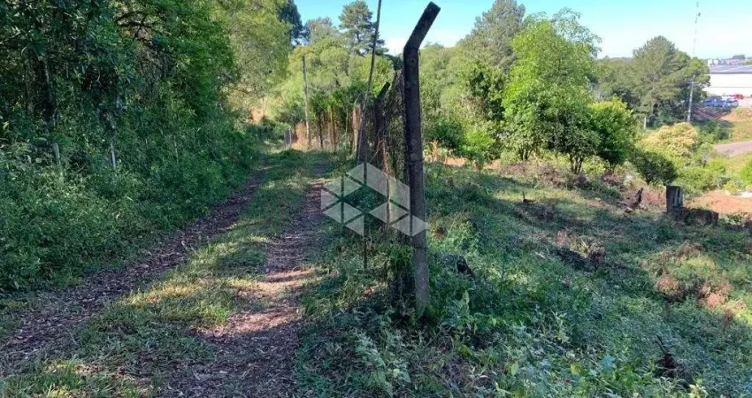 Chácara / sítio com 1 quarto à venda na 1, 1, São Miguel, Garibaldi