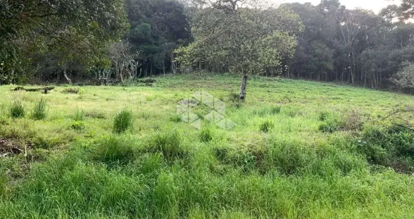 Terreno próximo ao parque da Fenchamp na BR 470 em Garibaldi