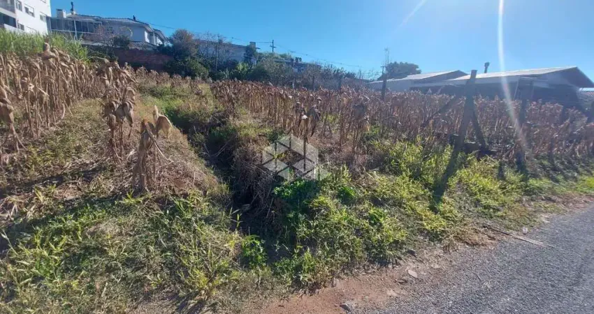 Terreno à venda na Ima Dorothee, 4, Alfândega, Garibaldi