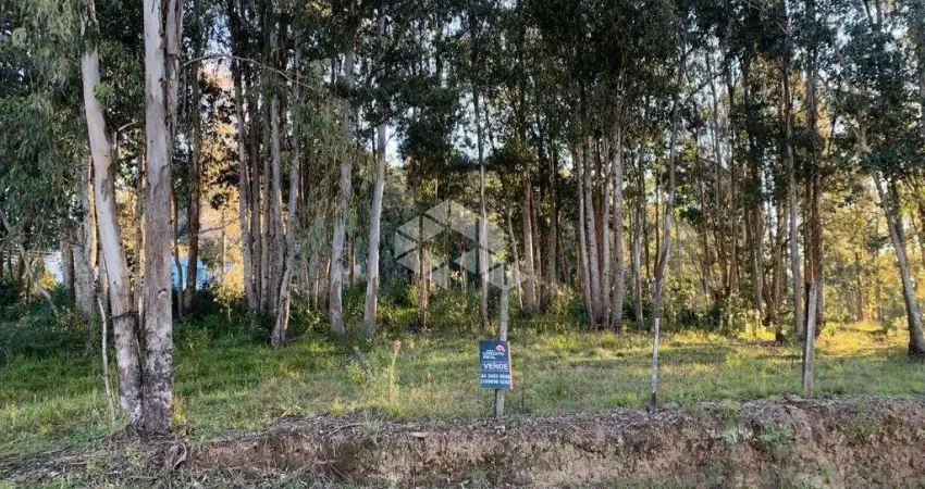 Terreno à venda na Antônio Grigoletto, 1, São Roque, Garibaldi