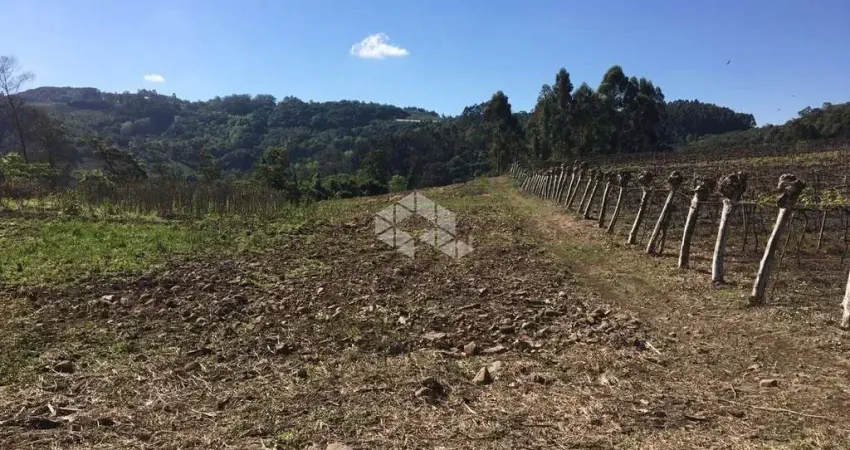 Chácara / sítio com 1 quarto à venda na Linha Figueira de Melo, 2, Centro, Coronel Pilar