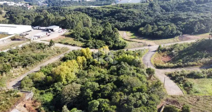 Terreno à venda na Clemente Pedro Dalcin, 1, Tamandaré, Garibaldi